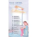 IntelliNova Dry - LED Intelligent Electric Cloth dryer with Voice and Remote Control Operation (Gold)