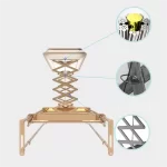 IntelliNova Dry - LED MINI Intelligent Electric Cloth dryer with Voice and Remote Control Operation (Gold)