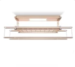 IntelliNova Dry - LED Intelligent Electric Cloth dryer with Voice and Remote Control Operation (Gold)